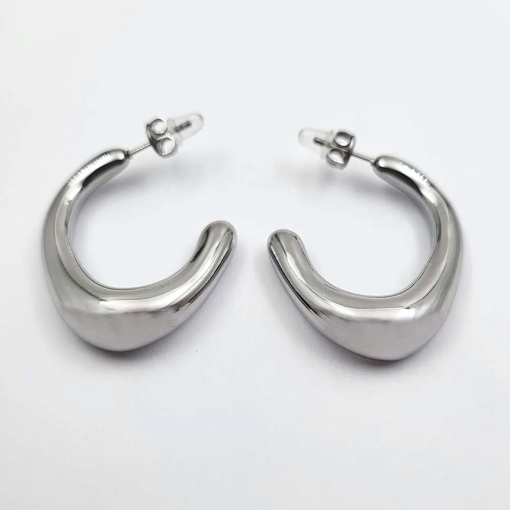 Avant steel earrings